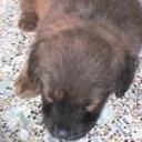 Mateo