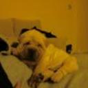 Buba
