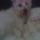 Princesa