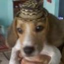 Juanita