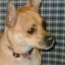 Paquito