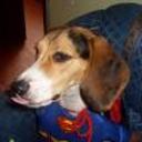 Ruffo