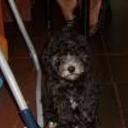 Blacky
