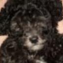 Blacky