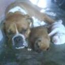 Shirley y sus hijitos