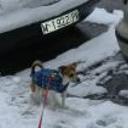 Mico
