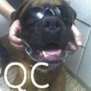 Yako