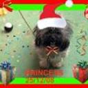 Princesa