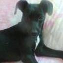 Rosita