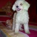 Susy
