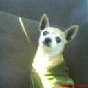 Cuqui