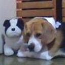 Shiloh