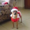 Lucas
