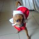 Lucas