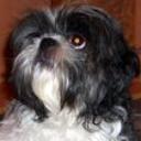 Wilma