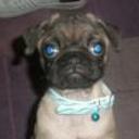 Otto
