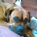 Oliver