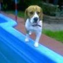 Shiloh