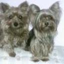 Fany y brenda