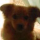 Wily
