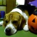 Shiloh