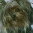 Brenda