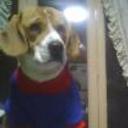 Shiloh