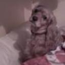 Molly