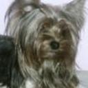 Brenda