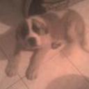 Beethoven