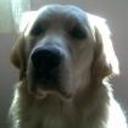 Romeo