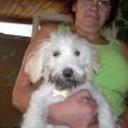Susy