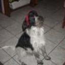 Facundo