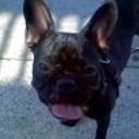 Roxy