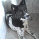 Jany