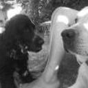 Homero