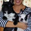 Wilma y rocco
