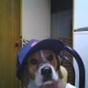 Shiloh