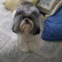 Manuelit