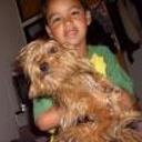 Brisa