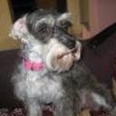 Susy