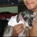 Susy