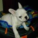 Roky