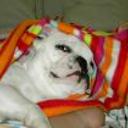Roky