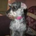 Susy