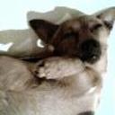 Chiquito