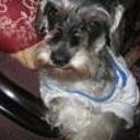 Susy