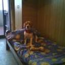 Shiloh