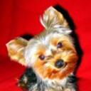 Mickey