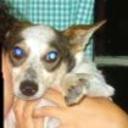 Blanquita